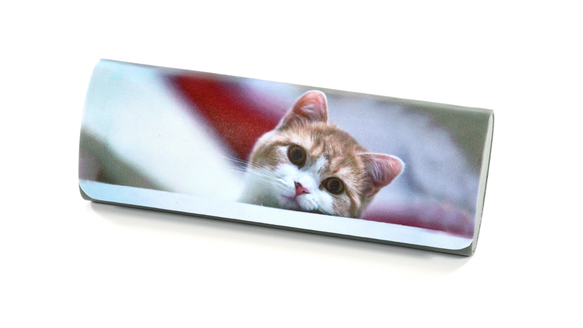 Фото очков 360° 6