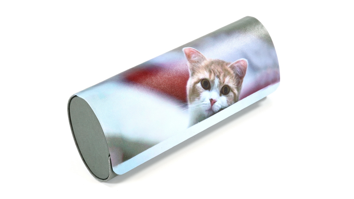 Фото очков 360° 10